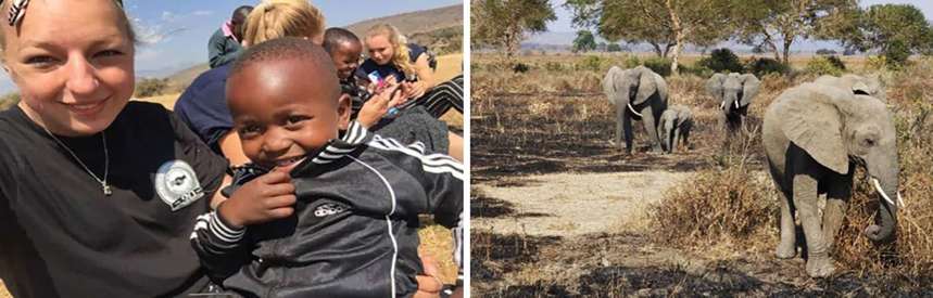 volunteering en safari