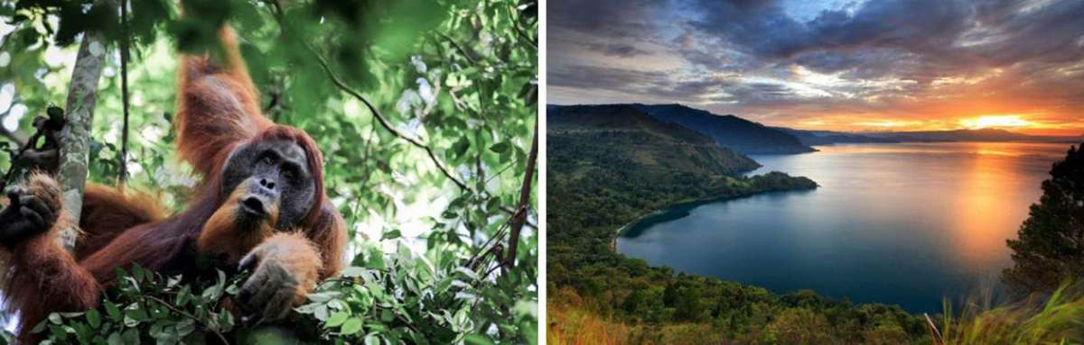 Orang Oatang en Toba meer